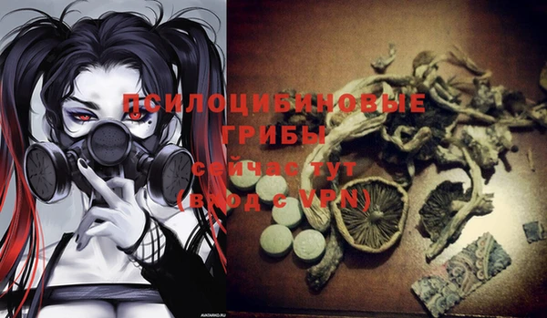 2c-b Баксан
