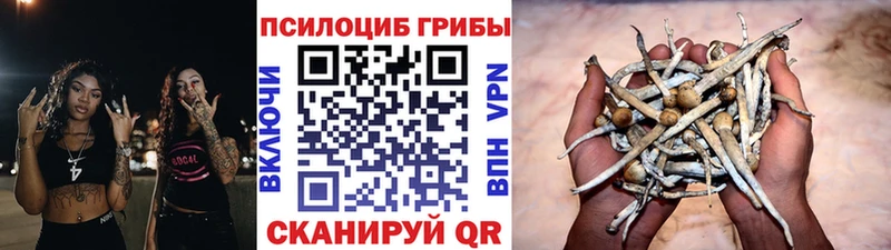 Псилоцибиновые грибы Magic Shrooms  Великие Луки 
