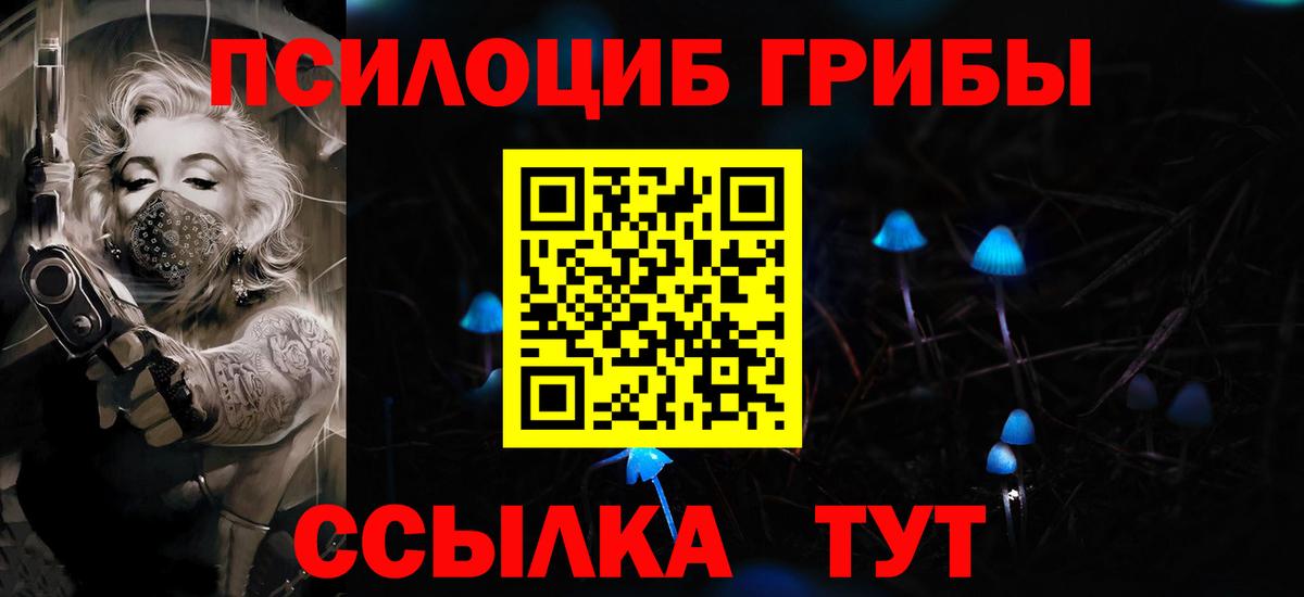 Псилоцибиновые грибы Magic Shrooms  Галлюциногенные грибы Psilocybe  Великие Луки  Вход с VPN 
